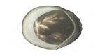 G -1-Synthetic Hair Hairpiece