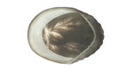 C -1-Human Hair Hairpiece